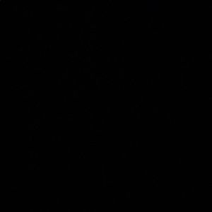 Meet your Posher, Katrina